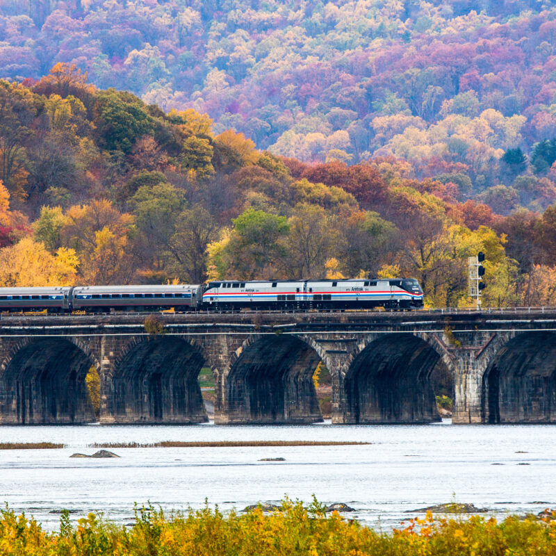 Amtrak train on bridge with fall colors in the background.